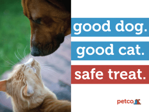 Petco First Pet Specialty Retailer to Remove China-made Dog and Cat Treats from Stores
