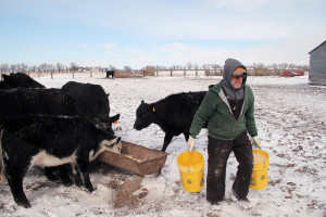 Should Labels Say Meat Was Made In USA? Ranchers, Meatpackers Disagree