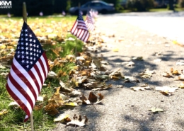 united-states-of-america-flags-along-street