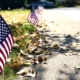 united-states-of-america-flags-along-street