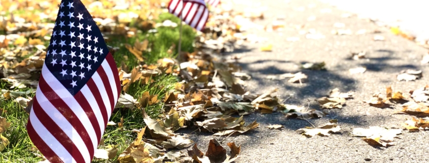 united-states-of-america-flags-along-street